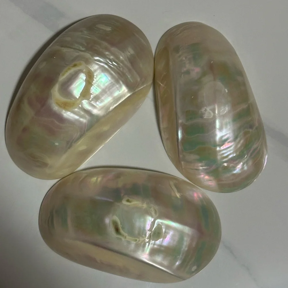 Iridescent Shell Decor Set - Picture 2 of 4